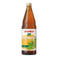 Bio Kombucha 15% vol. MW 750ml - 6er Vorteilspack von Voelkel